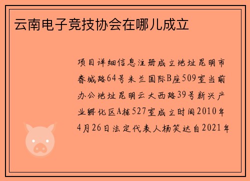 云南电子竞技协会在哪儿成立